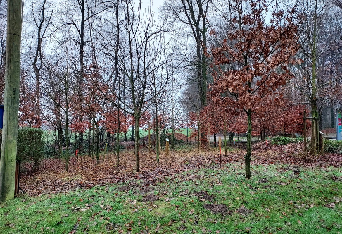 schweinekamp 1