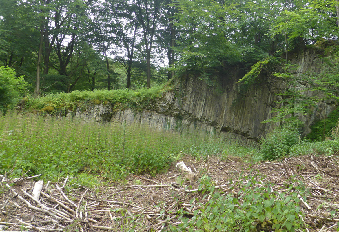 steinbruch 4