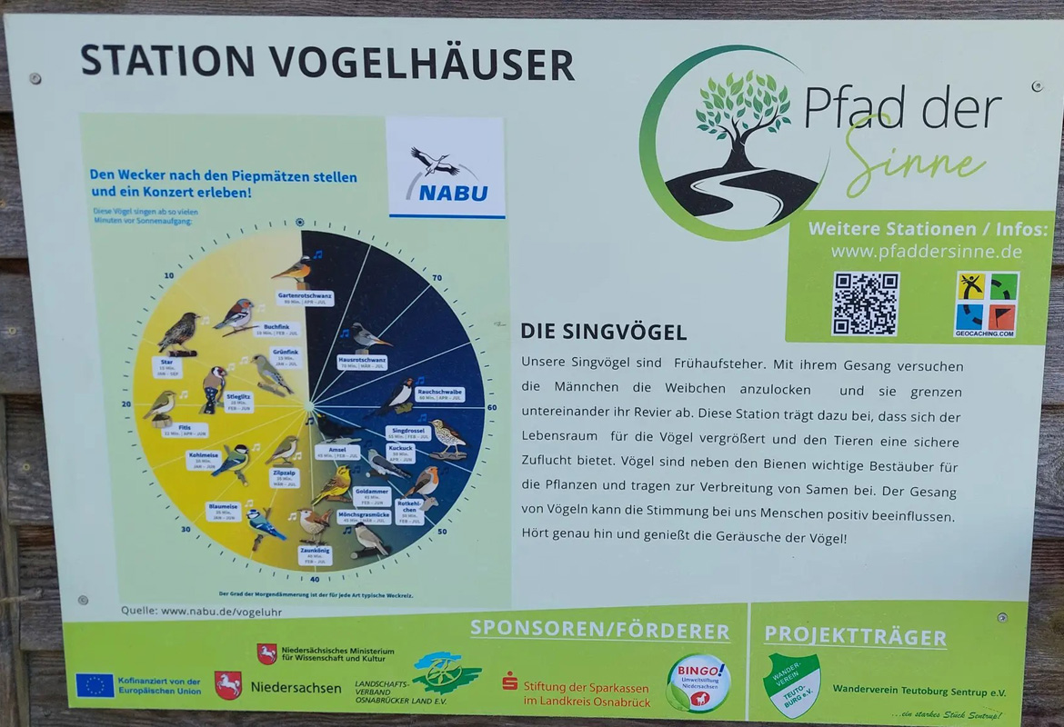 vogelhauser 2